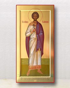 Икона «Емилиан мученик» Красноармейск